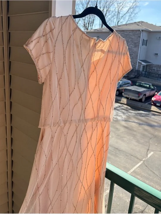 🆕✨ Adrianna Papell Blush Beaded Mesh Gown Maxi Dress Size 8 Sequin Nude Pink - Picture 6 of 16